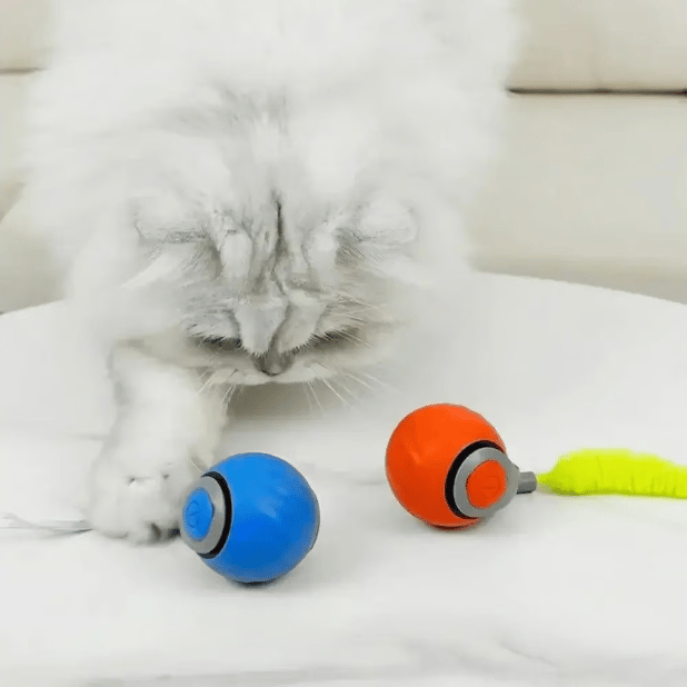Brivibe™ SPEEDY TAIL 2.0 (Buy 2 Get 1 Free)
