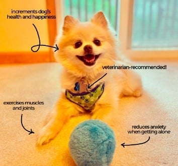 Brivibe™ Active Rolling Ball (4 Colors Included)