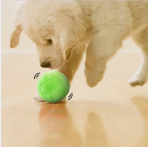 Brivibe™ Active Rolling Ball (4 Colors Included)