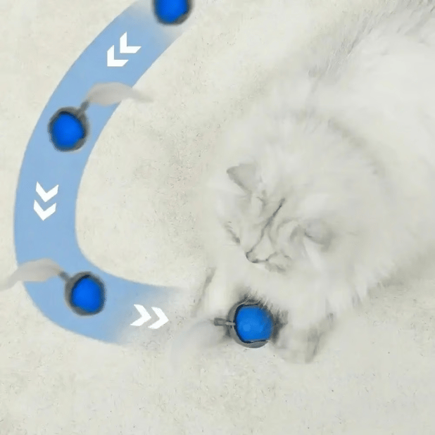 Brivibe™ SPEEDY TAIL 2.0 (Buy 2 Get 1 Free)