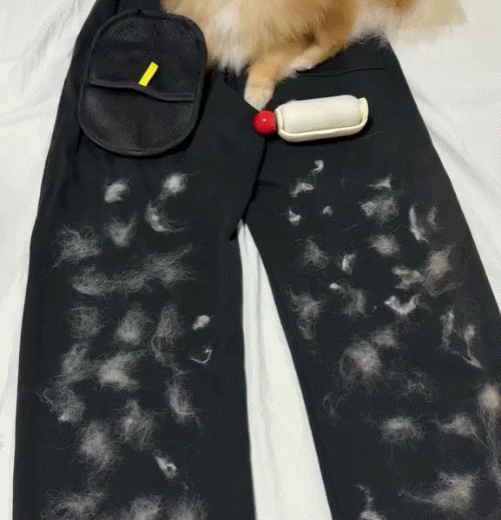 Buy 1 Get 1 Freeđ„Paww-zioâą Electrostatic Pet Hair Removal Grooming Gloves