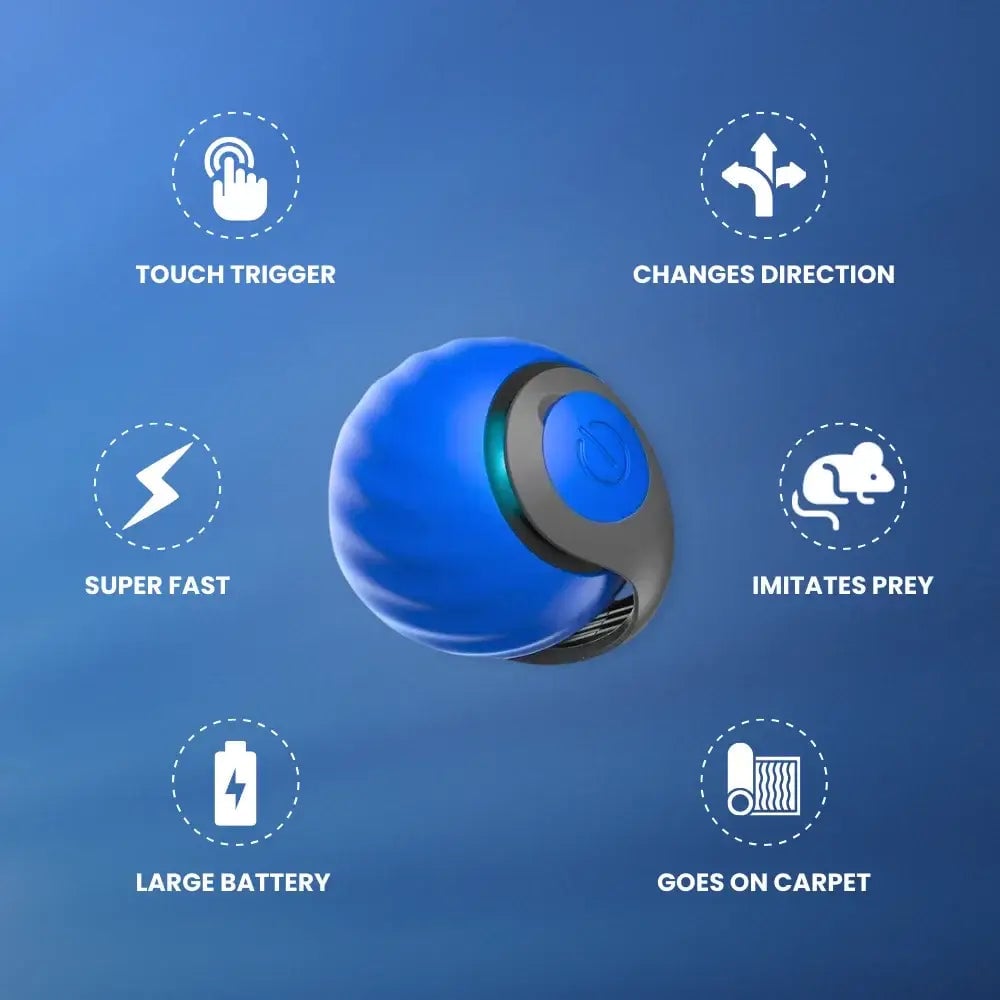 Brivibe™ SPEEDY TAIL 2.0 (Buy 2 Get 1 Free)