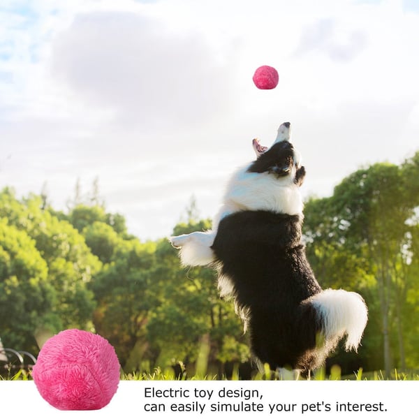 Brivibe™ Active Rolling Ball (4 Colors Included)
