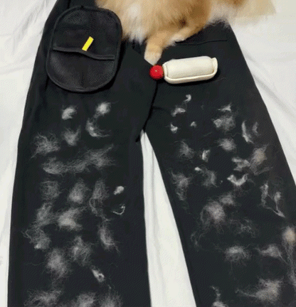Buy 1 Get 1 Free🔥Paww-zio™ Electrostatic Pet Hair Removal Grooming Gloves