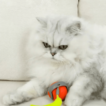 Brivibe™ SPEEDY TAIL 2.0 (Buy 2 Get 1 Free)